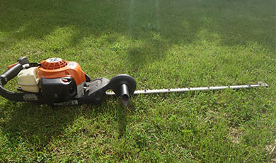 Photo of a hedge trimmer